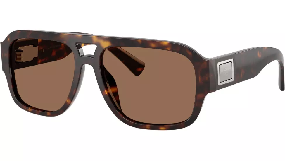 Dolce & Gabbana DG4506 (502/73) 58 | Unisex Kahverengi Güneş Gözlüğü